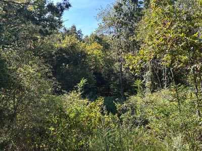 000 Highway 142 West, Thayer, MO, 65791