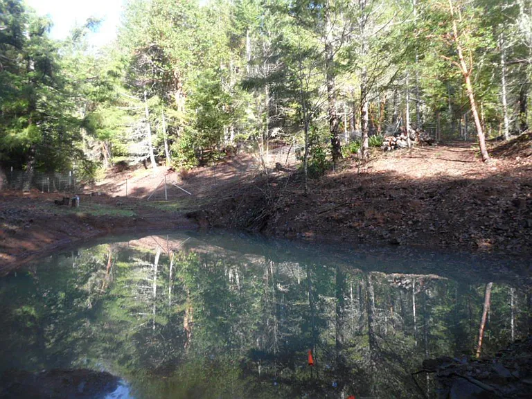 Pond