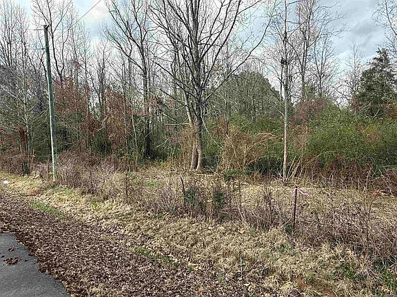 2nd image of 0 W Brownfield St