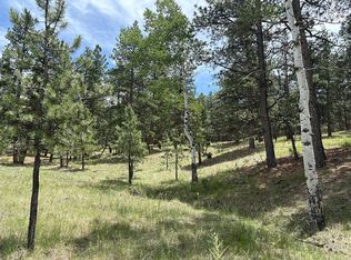 188 Zuni Trl, Westcliffe, CO 81252