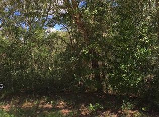 Berryhill Dr, Webster, FL 33597