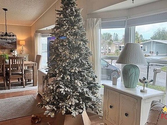 5th image of 14363 Picea