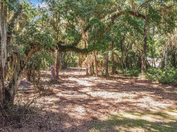 80 Tolomato Dr SE, Darien, GA 31305