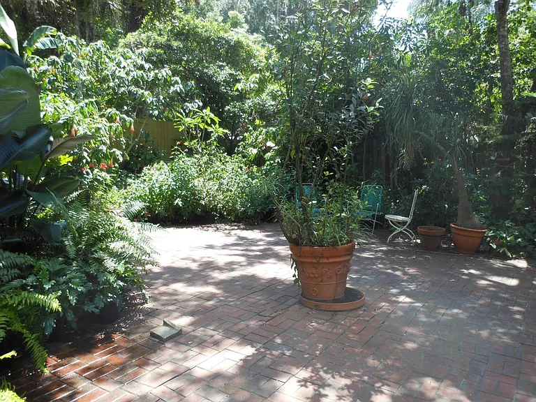 Back yard Garden