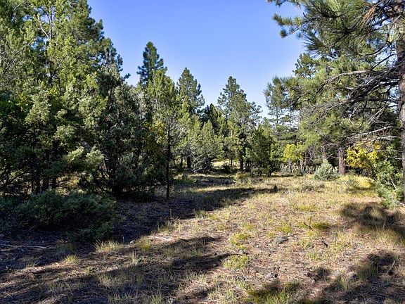 5th image of Tbd Ponderosa Dr