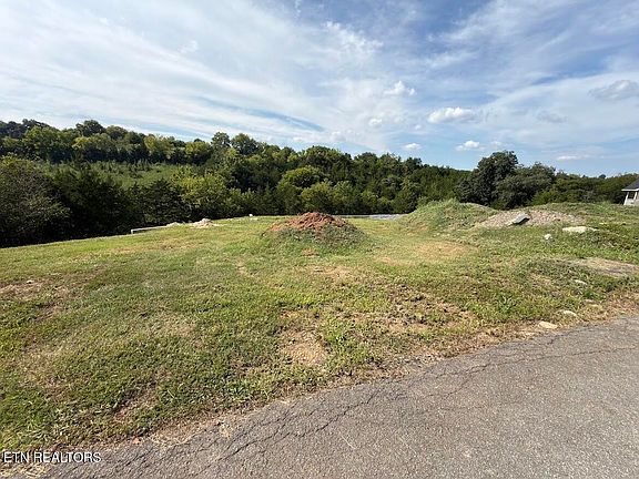 2nd image of LOT 20 Alley Ln