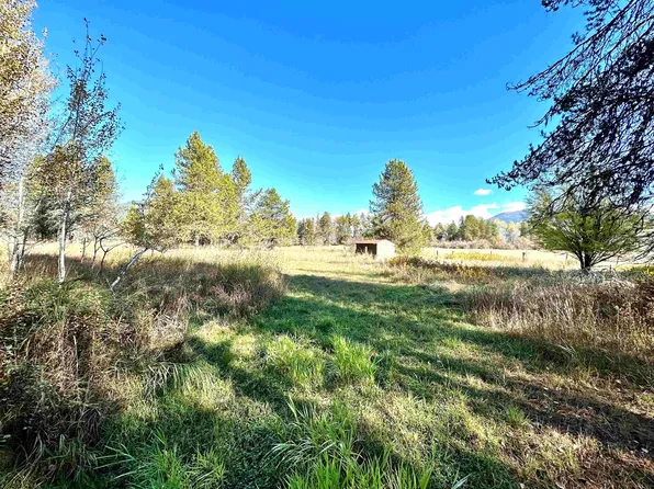 11 Needles Dr, Cusick, WA 99119