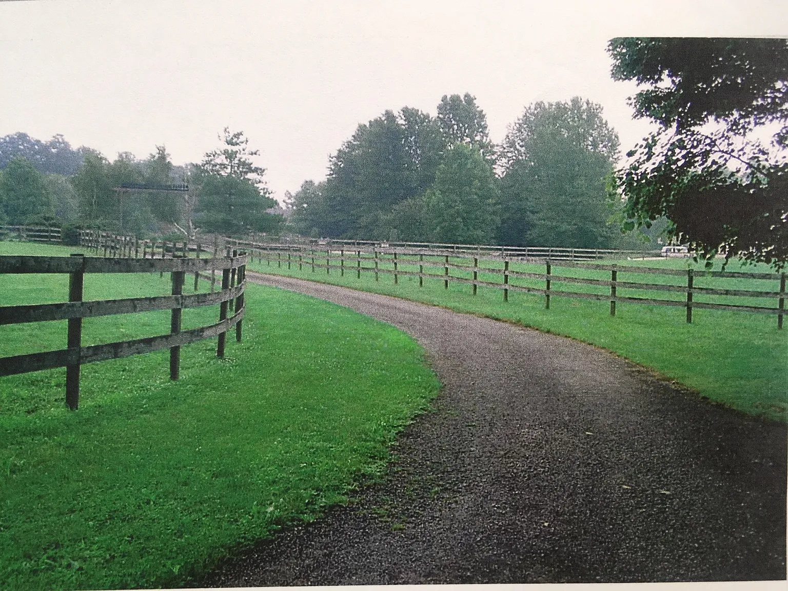 4 bed, 4000 sqft, $3,600 — Photo 4