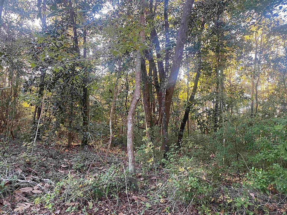 2nd image of 0 Old Saint Augustine Rd
