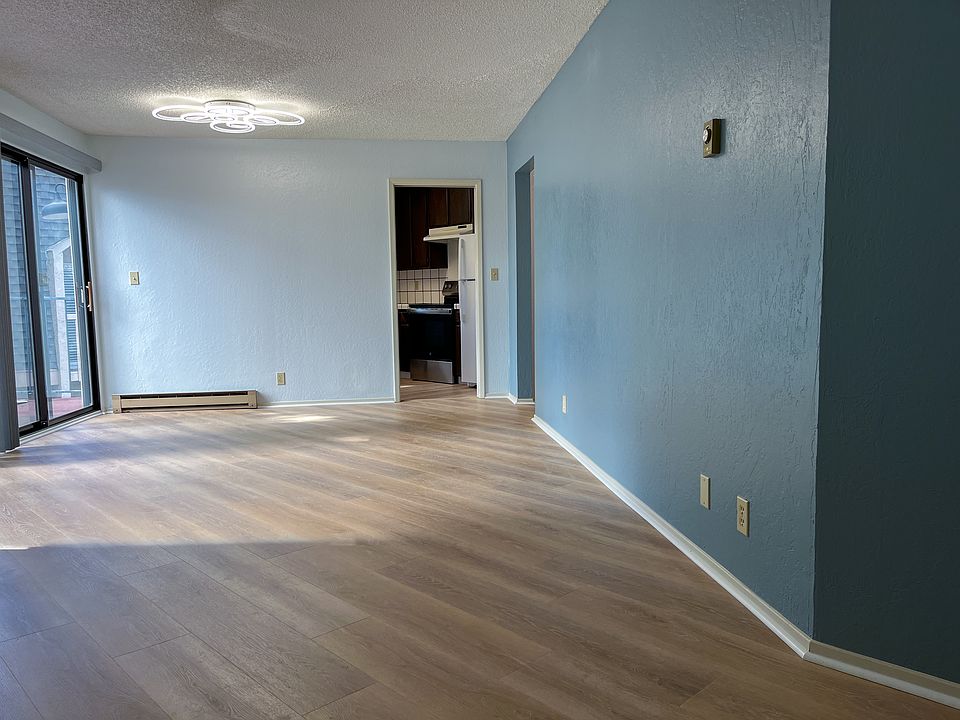 Large Bright Living Room and Dining Room Area
