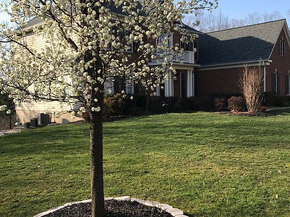 First Spring blooms