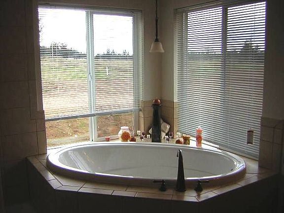 Soaking Tub in Master