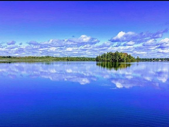 4th image of Off Big Lake Loop Road Acres #2.7