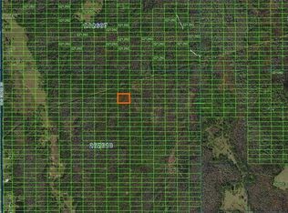 Old Grade Rd #C-42, Polk City, FL 33868