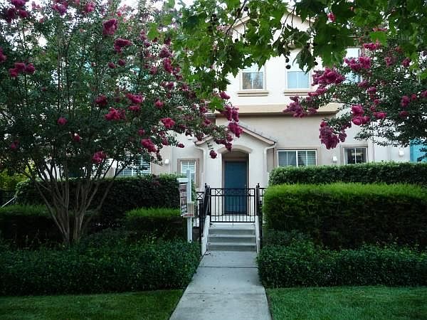 1st image of 3164 Vinifera Dr