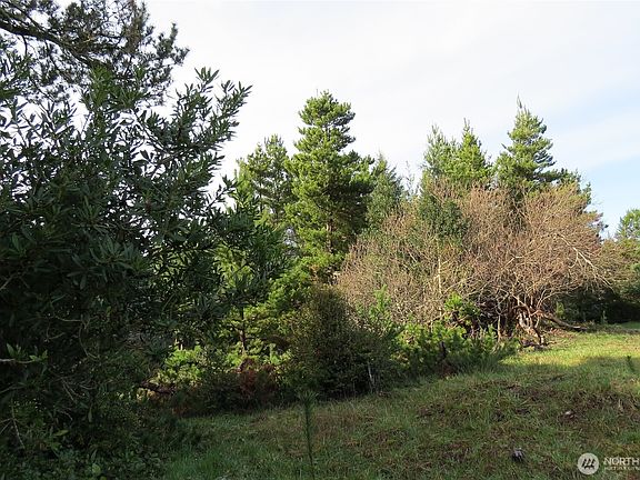 3rd image of 326 Wildwood Avenue SE