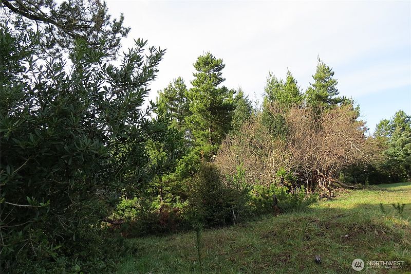 3rd image of 326 Wildwood Avenue SE