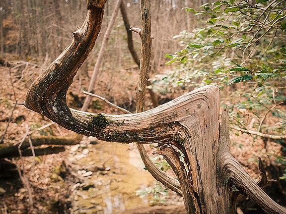 5th image of 0 Ferguson Rd