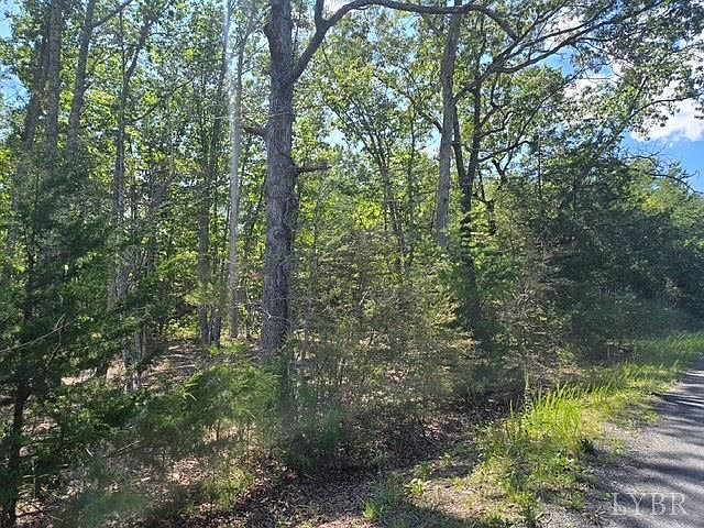 2nd image of 0 Miller Camp Rd
