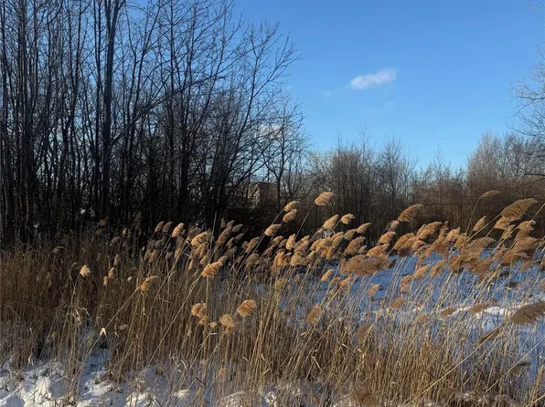 Sublot 41 Charles, Clinton Township, MI 48035