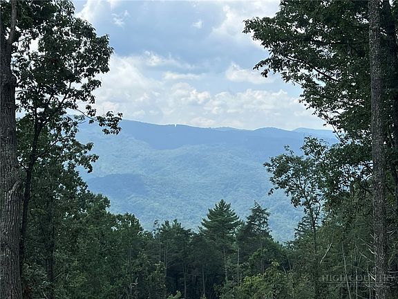 2nd image of Lot 99 Wildcat Wilderness Parkway