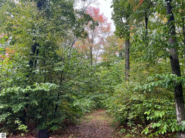 0 Woodsborough Dr NW, Alden, MI 49612