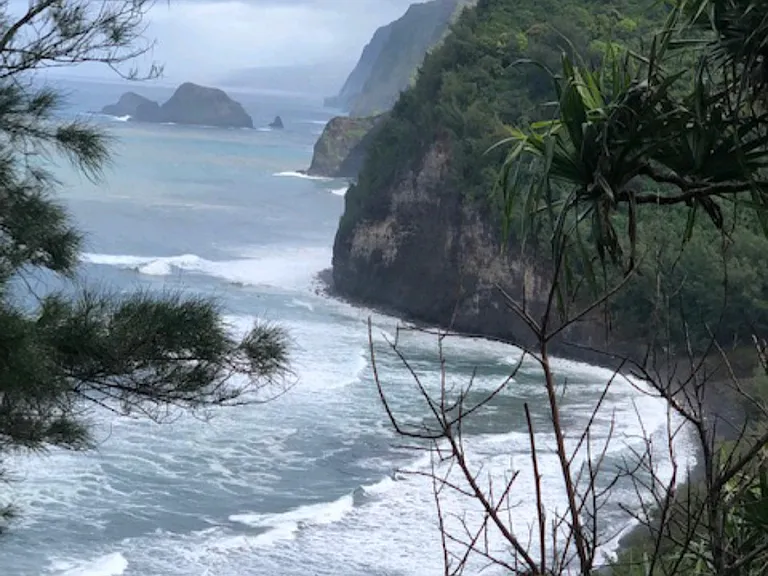 Alii Dr — Photo 27