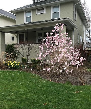 3rd image of 638 N Lombard Ave