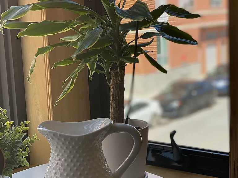 139 Border St #2B — Photo 8