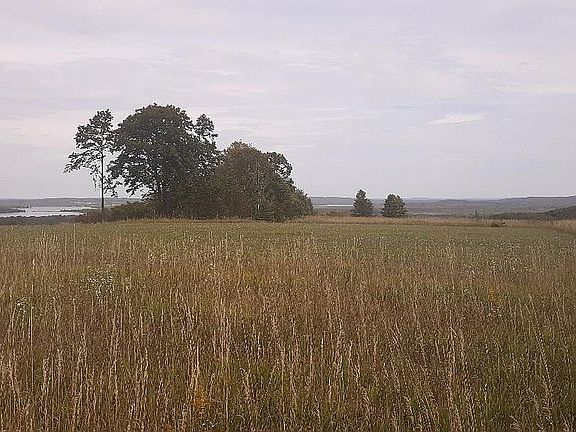 Pickerel Lake and channel 