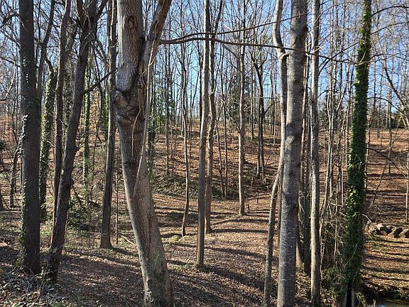 2nd image of 0 Spring Valley Ln
