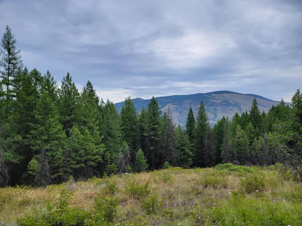 Dragons Lair Ln, Curlew, WA 99118