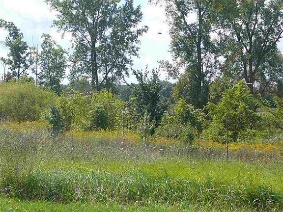 2nd image of 4235 Cahokia Rdg