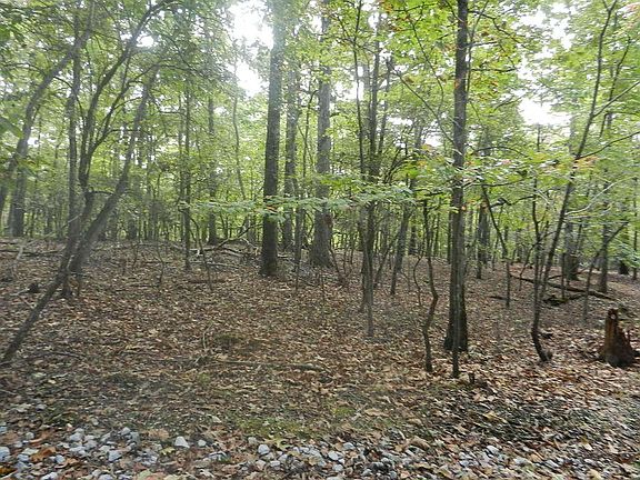 4th image of 0 Holly Ln Lot L