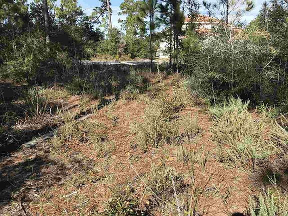 cleared lot