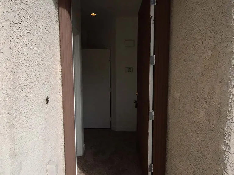 6670 Tulip Falls Dr #0 — Photo 12
