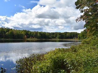 3065 S 162nd Ave, Hesperia, MI 49421