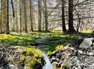 77 Pelnor Hollow Rd, Roscoe, NY 12776