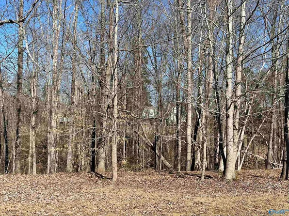 18 Deer Walk Dr Lot 18, Guntersville, AL 35976
