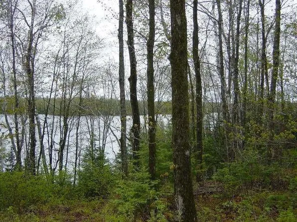 11598 Farnsworth Road, Hayward, WI 54843