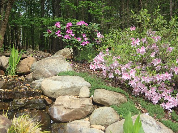 Serene landscape & waterfall