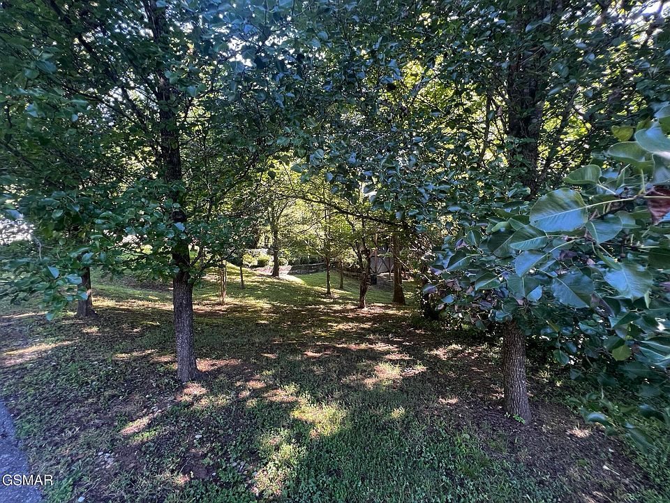 1st image of 29 Scenic Woods Way