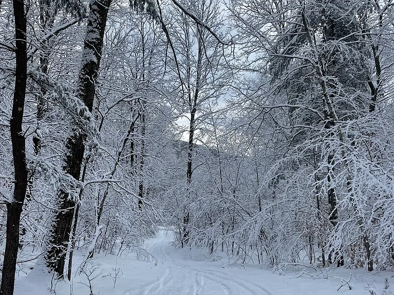 Harvey Mountain Rd — Photo 32