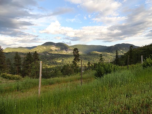3rd image of Black Bear Way