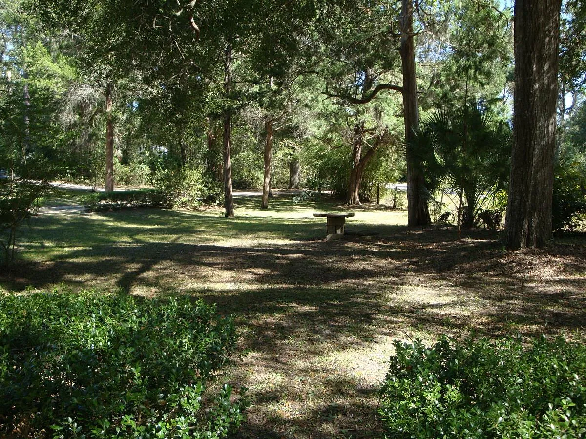 5296 Jackson Bluff Road — Photo 3