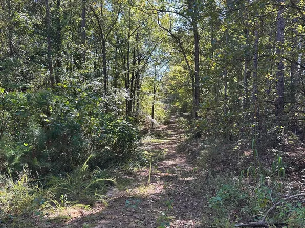 County Road 312, Tiplersville, MS 38674