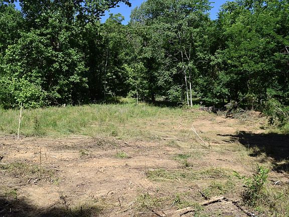 Great food plot area.