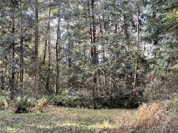 0 5XX Dodger Lane, Port Angeles, WA 98363
