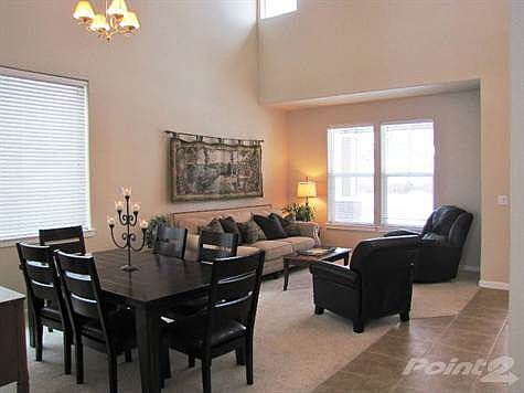 Vaulted Ceilings