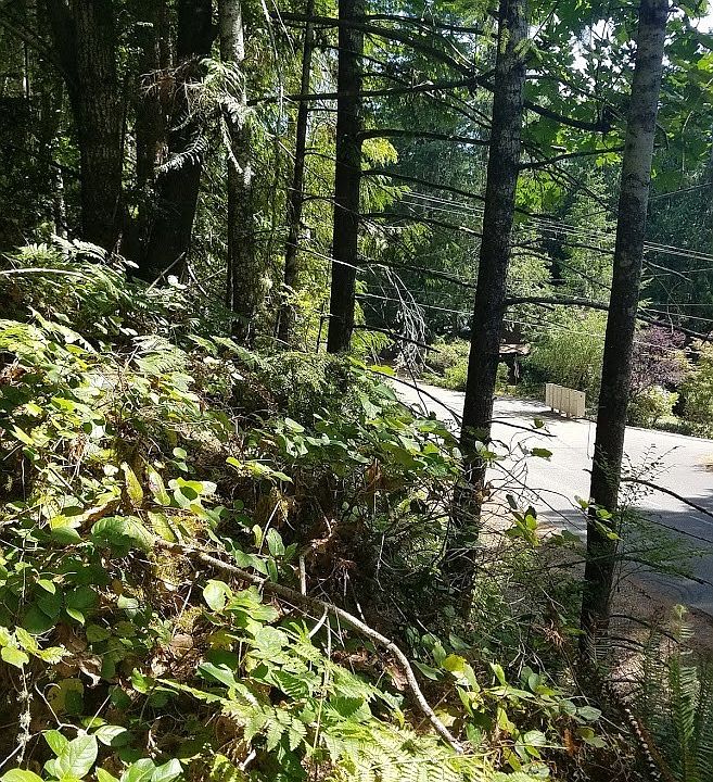 2nd image of 311 N Colony Surf Dr